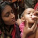 In Bangladesh, A New Way to Fight Cholera